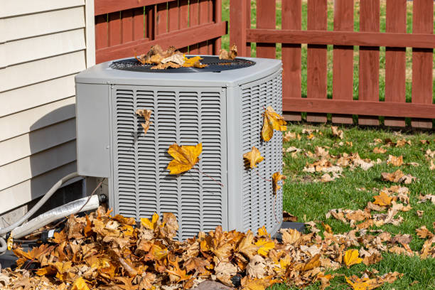 Best HVAC tune-up services  in Canton, IL